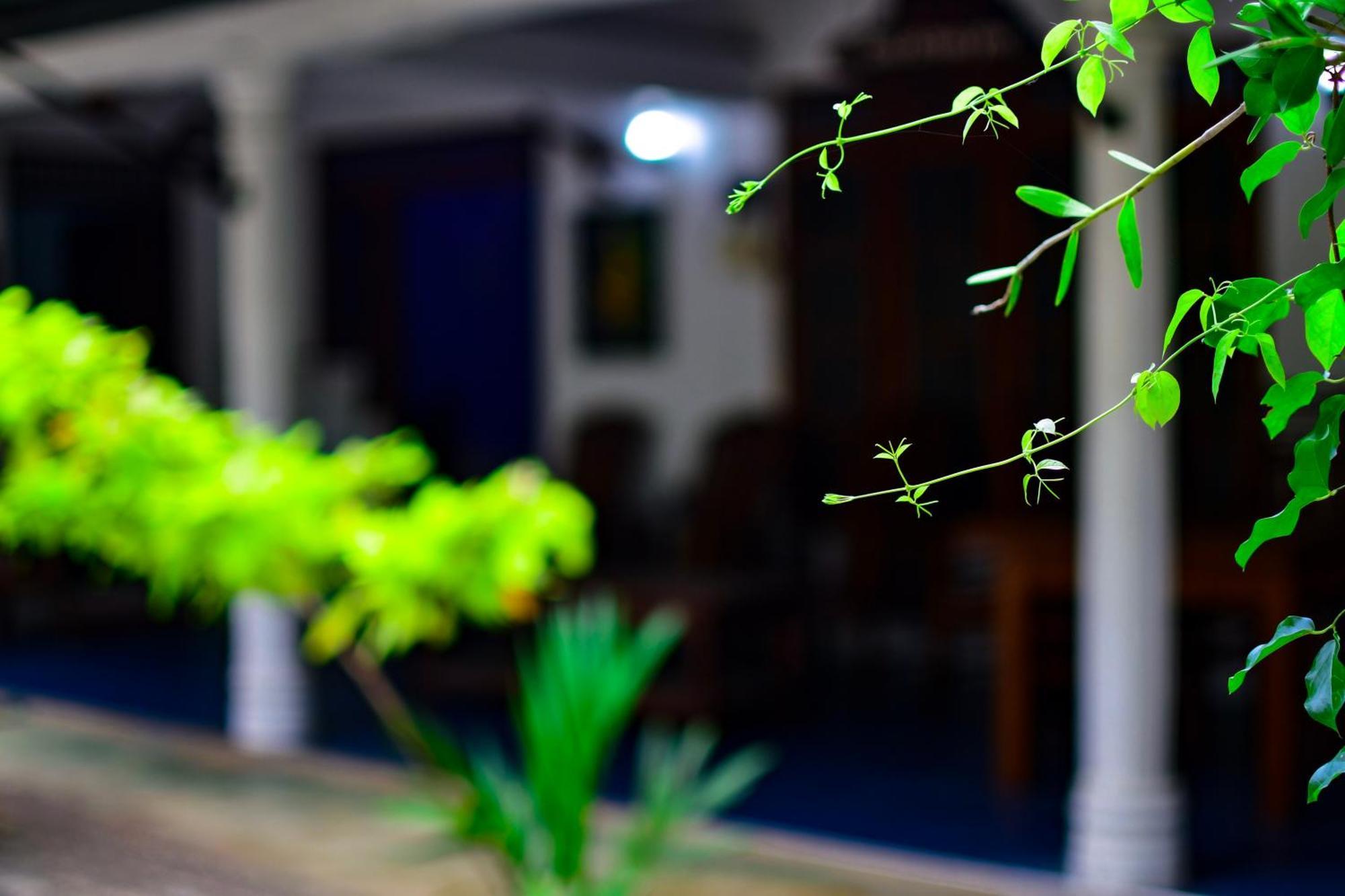Tourist Holiday Inn Dambulla Zewnętrze zdjęcie